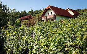 Holiday Home In Otocec Kranjska Krain 26062